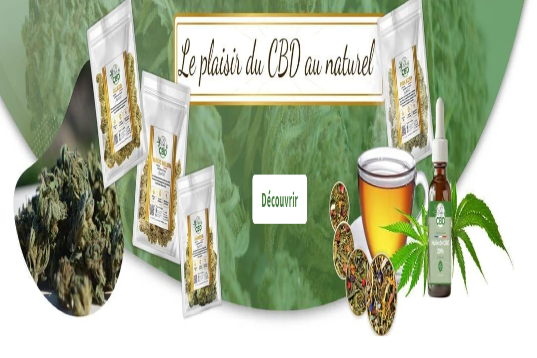 Lola CBD : avis complet sur cette boutique française de fleurs, huiles et tisanes CBD