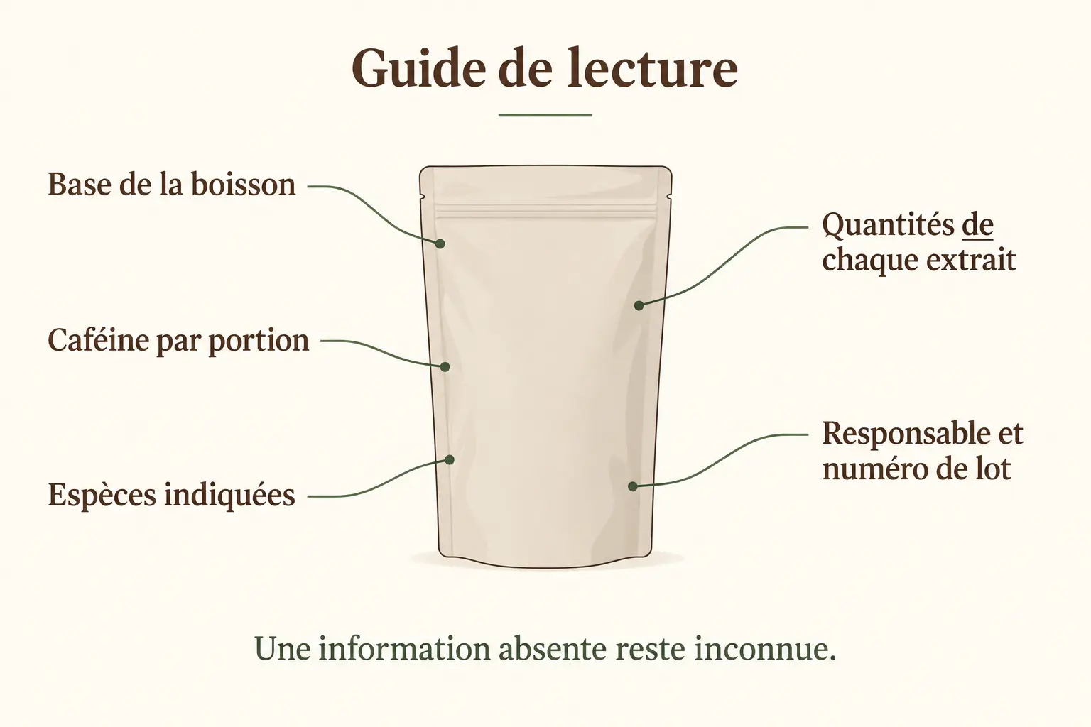 infographie — Champignons Café Adaptogènes