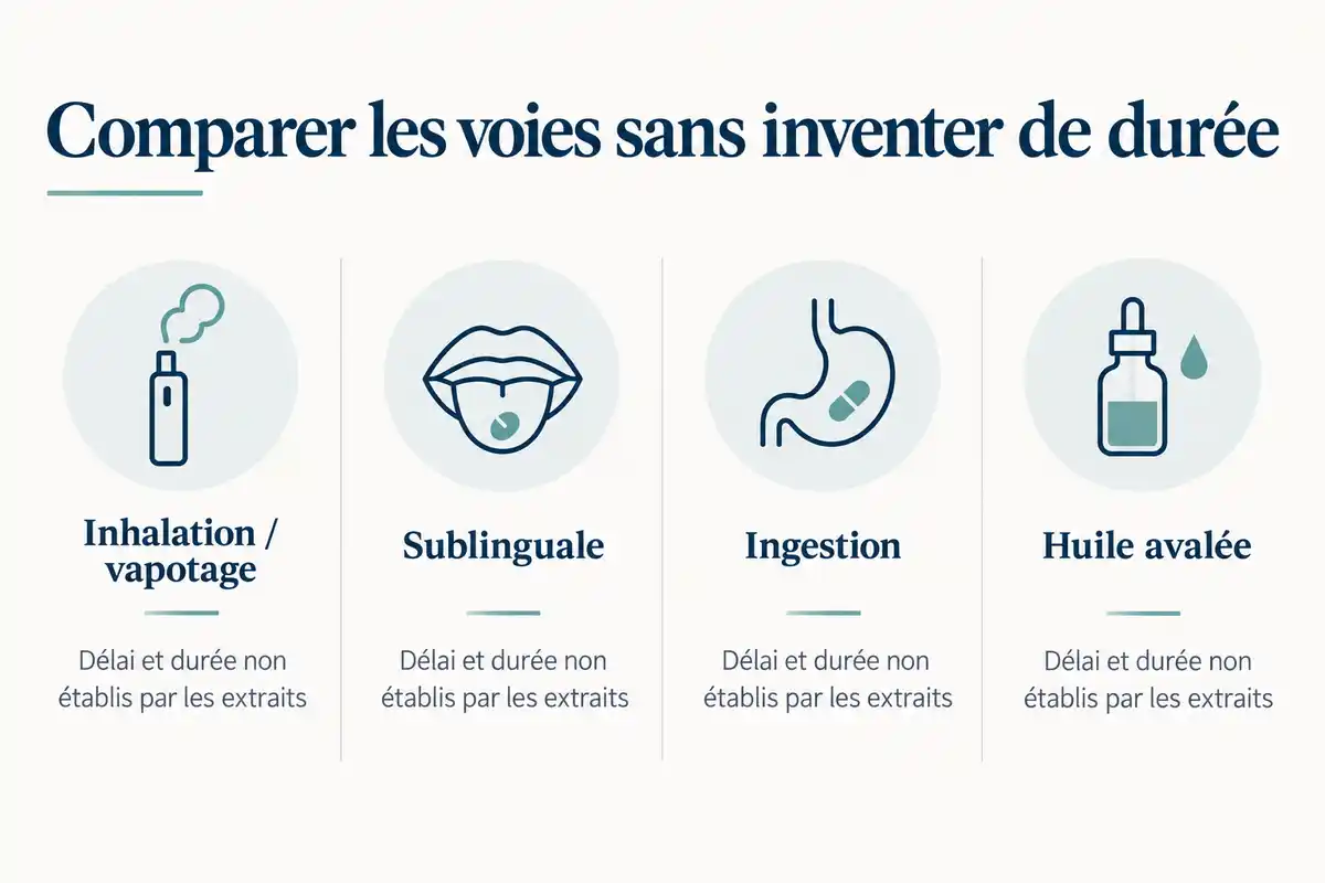 Inhalation, voie sublinguale et ingestion correspondent à des usages distincts, sans délai d’apparition ni durée ressentie établis.