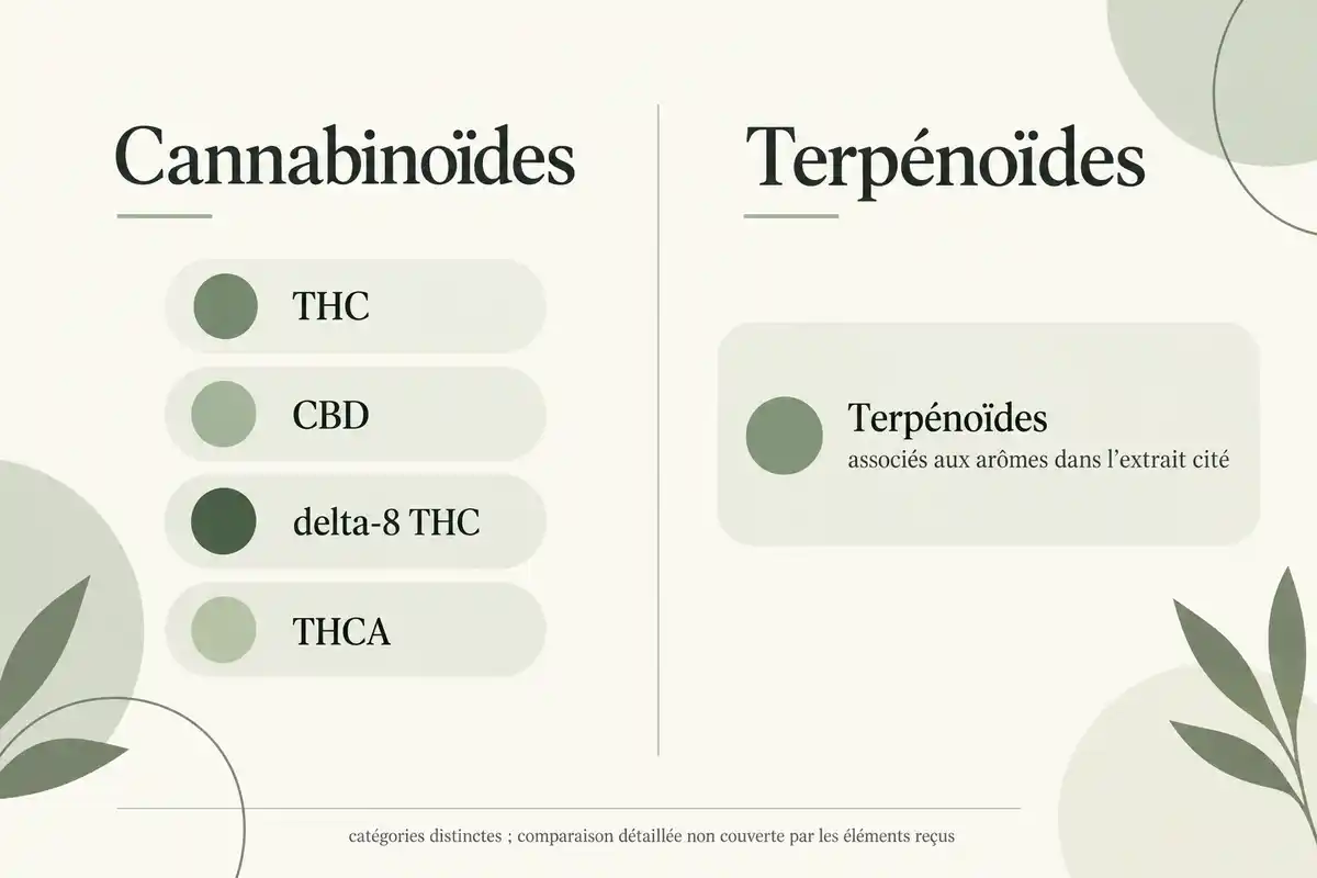 Cannabinoïdes comme le THC, le CBD, le delta-8 THC et le THCA, distingués des terpénoïdes associés aux arômes.