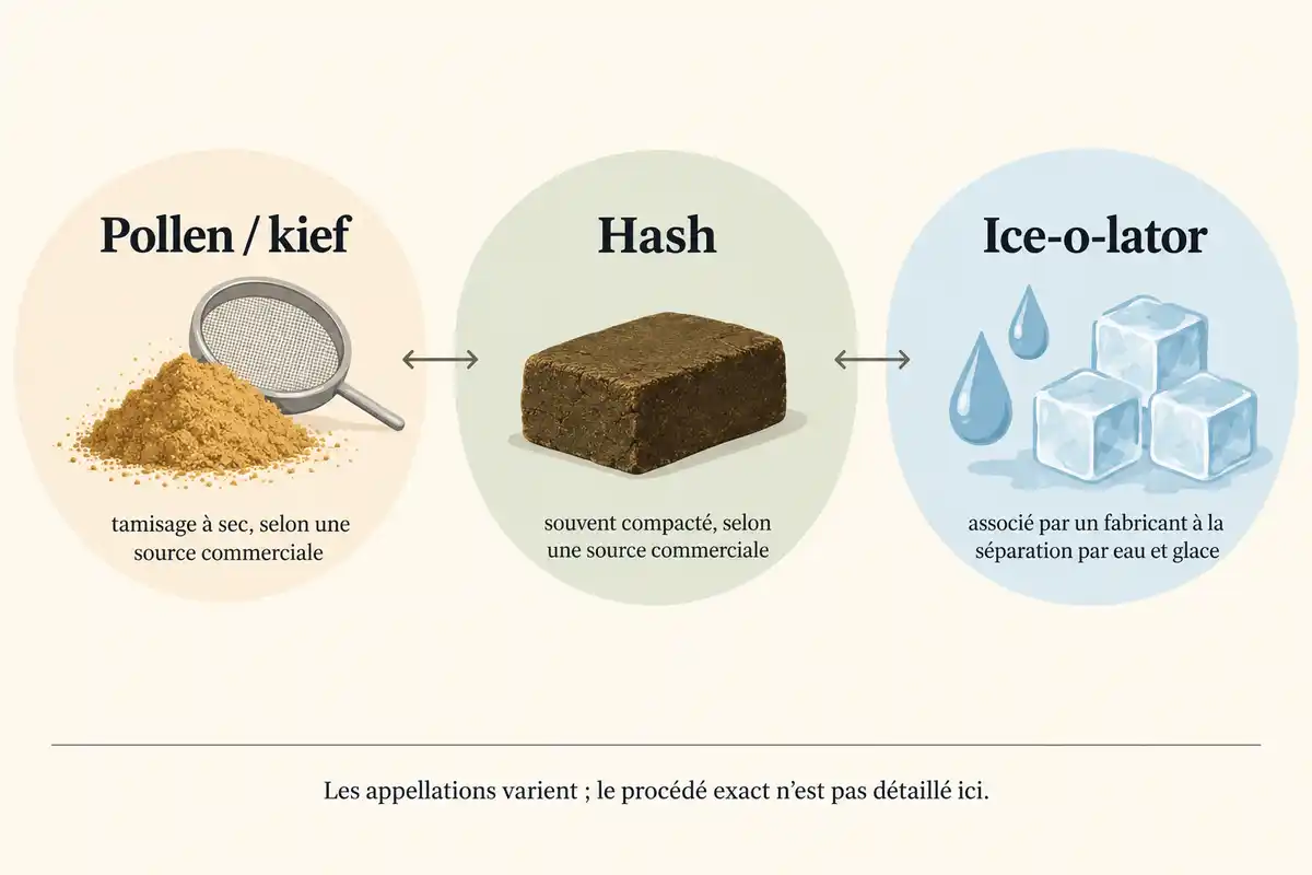 Pollen, hash et Ice-o-lator renvoient à des formes ou procédés différents ; les appellations varient et ne prouvent pas la qualité.