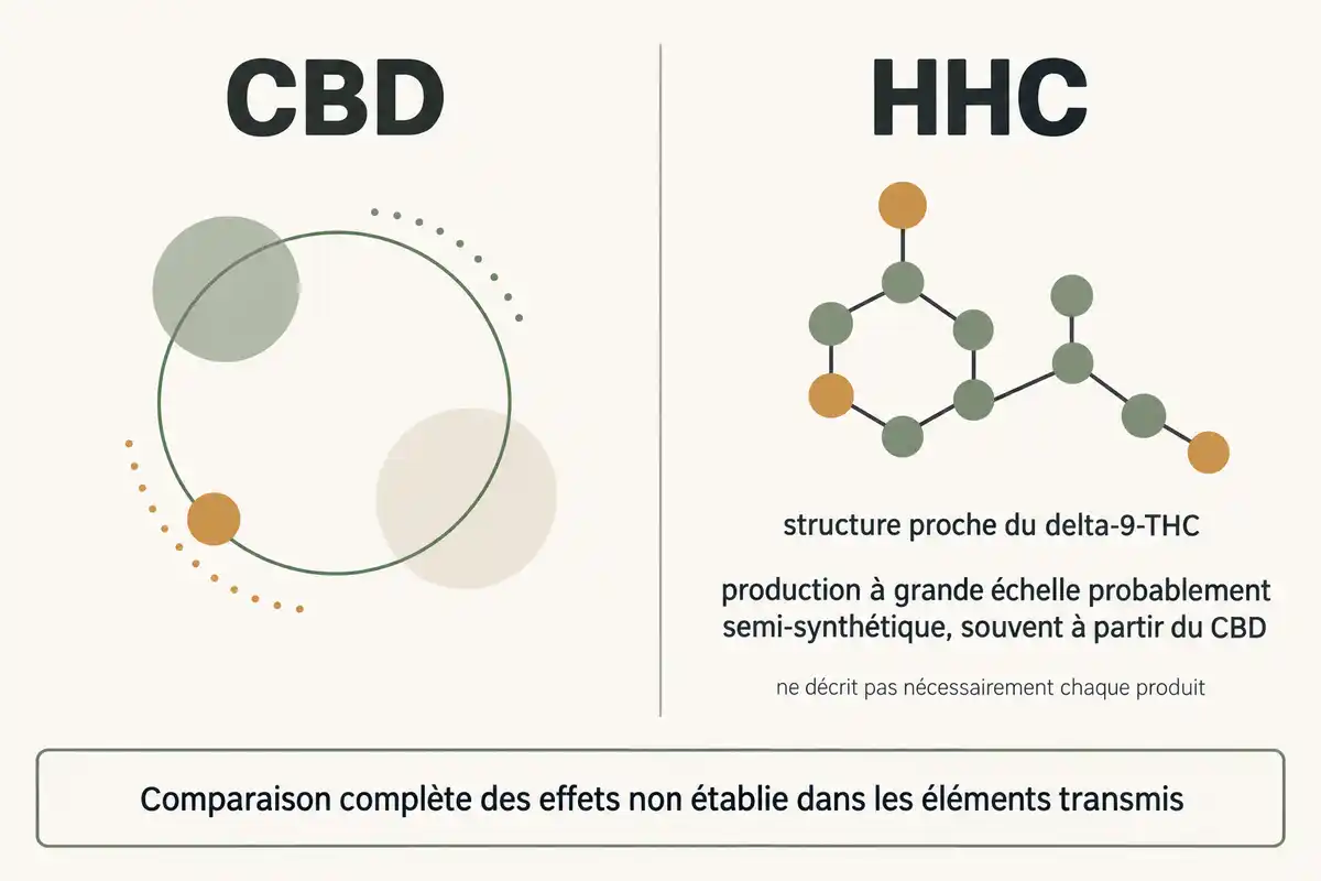 Le HHC ressemble structurellement au delta-9-THC et peut être produit à partir du CBD, sans que cela établisse une équivalence d’effets.