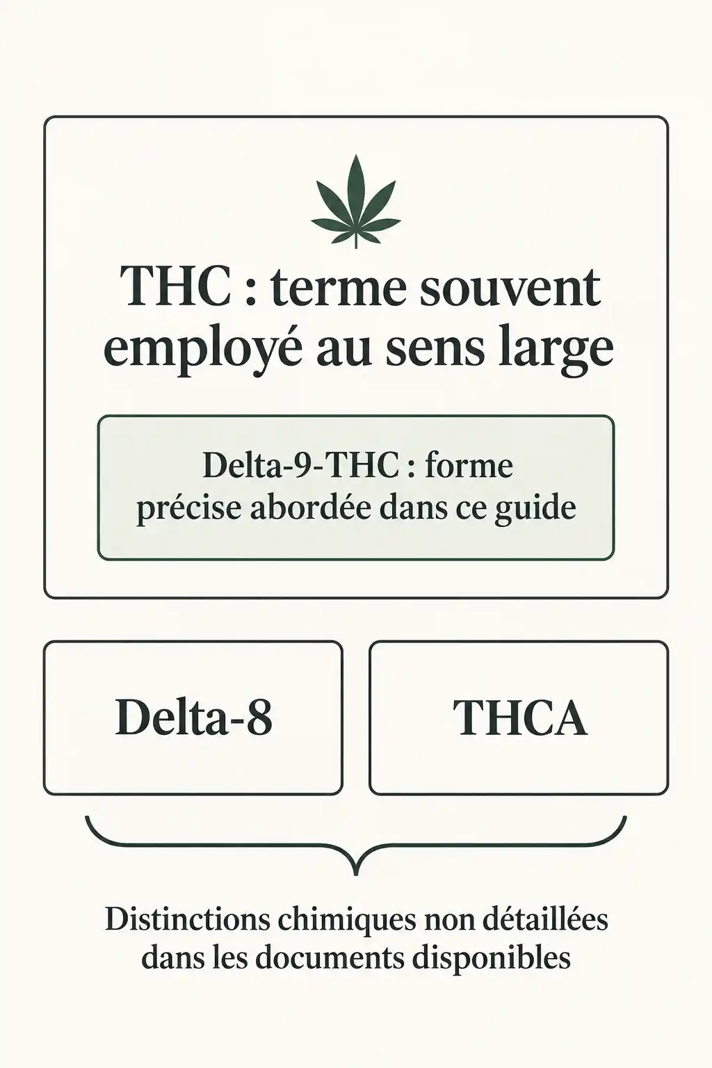 Schéma sur les termes liés au THC : un encadré présente le THC comme terme souvent employé au sens large, avec le Delta-9-THC comme forme abordée dans le guide. Les cases Delta-8 et THCA sont reliées à une mention sur les distinctions chimiques.