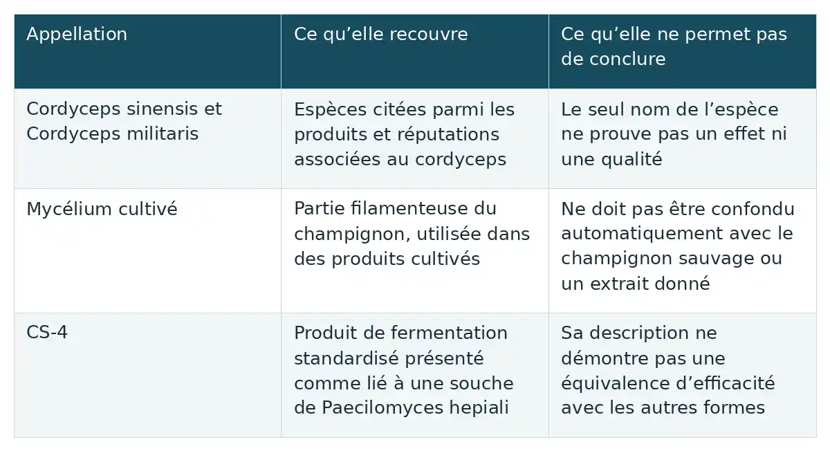 Tableau pédagogique en français à trois colonnes sur les appellations liées au cordyceps, le mycélium cultivé et le CS-4.