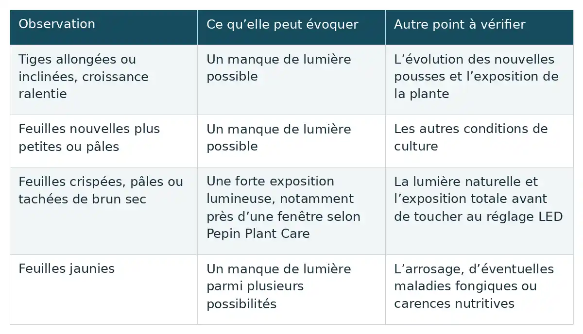 Le tableau relie tiges allongées, petites feuilles, feuilles crispées ou jaunies à des causes possibles et aux vérifications à envisager.